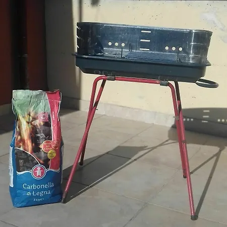 Gatto Bianco Le Dimore