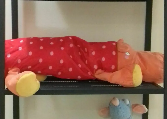 Gatto Bianco Le Dimore Bari